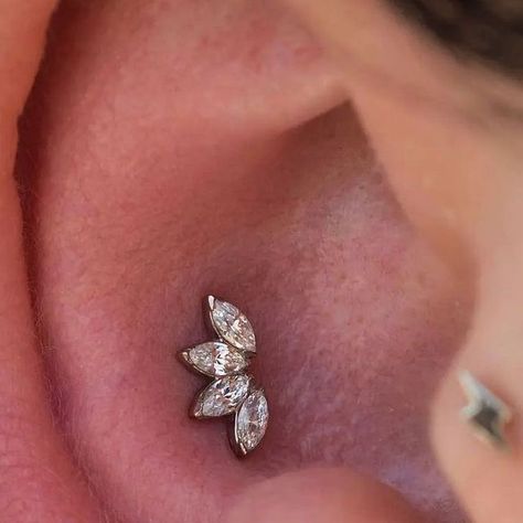 Shaman Modifications on Instagram: "Conch piercing by Jason (@piercerjason) using an 18k white gold 4 stone Marquise Fan Mini from @anatometalinc 🕊️" Conch Piercing Jewelry Studs, Inner Conch Piercing Studs, Cute Conch Piercing, Conch Ear Piercings, Conch Ear Piercing, Conch Piercing Stud, Inner Conch Piercing, Inner Conch, Ear Styling