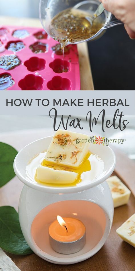 How to Make Wax Melts with Herbs and Natural Ingredients - Garden Therapy Wax Melts From Candles, Herbal Wax Melts, Make Wax Melts, Herbs Recipes, Wax Melts Recipes, Natural Wax Melts, Diy Wax Melts, Diy Candles Homemade, Melt Recipe