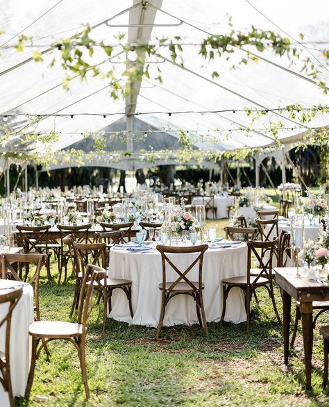 The hidden charm of Central Florida was on display for Megan and Alex's wedding reception at Cypress Grove! ⁠ ⁠ Think serene lakefront views, majestic aged oaks draped in Spanish moss, and the timeless beauty of a wedding by design. 🤍⁠ ⁠ Photographer: @lesliepagephotography⁠ Catering: @bigcitycatering⁠ Beauty: @lejeuneartistry⁠ Rentals: @rentalandevents⁠ Officiant: @sensationalceremonies⁠ Venue: @cypressgroveestatehouse @rwevents⁠ Entertainment: @backbeatent @anthologyentertainment⁠ Invitatio... Blush Weddings, Cypress Grove, Wedding Day Inspiration, Spanish Moss, The Plaza, Bespoke Wedding, Central Florida, Blush Wedding, Wedding Coordinator