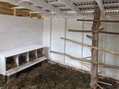 Tree Chicken Coop, Homemade Wood Stains, Portable Chicken Coop, Amish Farm, Coop Design, Best Chicken Coop, Chicken Run, Coop Plans, Building A Chicken Coop