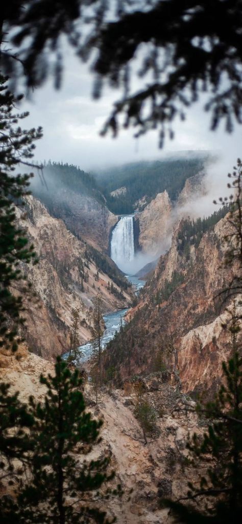 Yellowstone National Park Yellowstone Wallpaper, Yosemite Wallpaper, Yellowstone National Park Photography, Iphone Wallpaper Moon, National Parks Photography, Western Life, The Great Escape, Watercolor Art Lessons, Summer Wallpaper