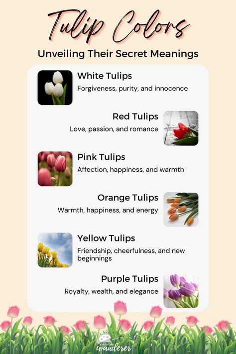 Tulip Color Meaning, Flowers Chart, Colors And Their Meanings, Tulip Seeds, Tulips Meaning, Complex Emotions, Color Knowledge, Flower Types, Tulip Colors