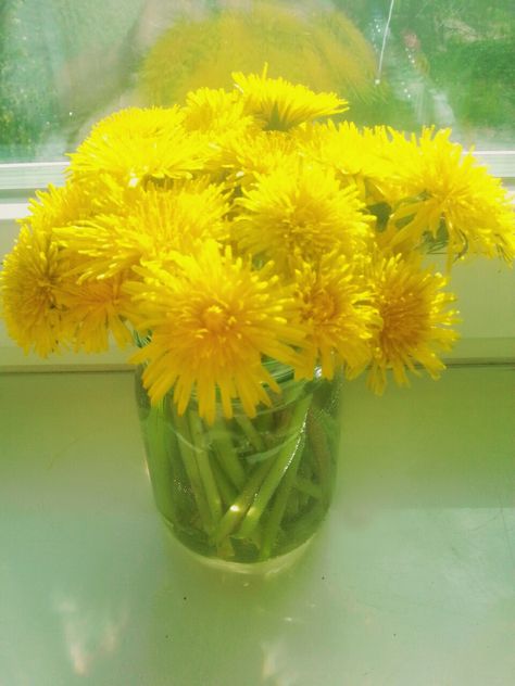 Dandelions Bouquet, Dandelion Bouquet, Photography Water, Dandelion Wishes, Dandelion Yellow, Dandelion Wish, Quotes Outdoors, String Art Patterns, Celebrities Tattoos