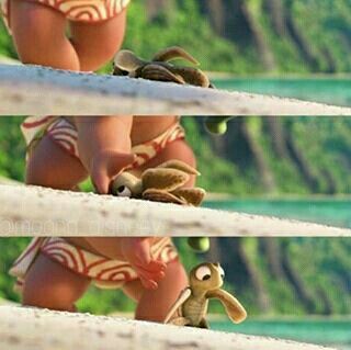 Moana, helping the baby sea turtle. Moana Turtle, Turtle Baby, Elf Fairy, Princesses Disney, Baby Sea Turtle, Disney Moana, Baby Turtles, Disney Princesses, Moana