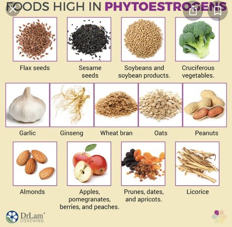 Phytoestrogen Foods, Estrogen Foods, Estrogen Rich Foods, Estrogen Hormone, Low Estrogen Symptoms, Too Much Estrogen, Low Estrogen, Boiled Egg Diet, Estrogen Dominance