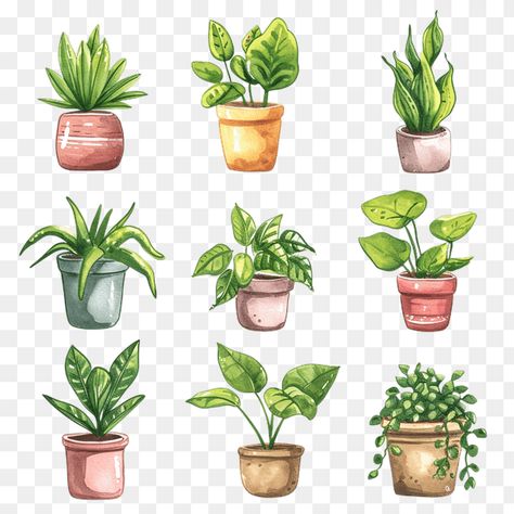 Watercolor Potted Plants Clipart Watercolor Potted Plants, Plant Monster, Monster Clipart, Cartoon Whale, Colorful Vegetables, Girl With Brown Hair, Yellow Pillows, Thanksgiving Design, Watercolor Plants