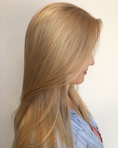 Warm Blonde Hair, Golden Blonde Hair, Honey Blonde Hair, Hair Guide, Blonde Hair Inspiration, Hair Stylies, Hair Shades, Long Blonde, Pixie Bob