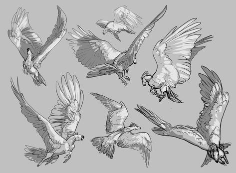 Feathered Wings Drawing, Wing Pose Reference, Poses With Wings, Wings Drawing Reference, Drawing Reference Character Design, Drawing Reference Character, Drawing Feathers, Wing Drawing, Winged People