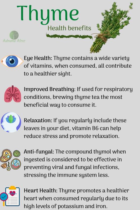 Thyme Benefits, Medicinal Herbs Remedies, Thyme Tea, Medicinal Herbs Garden, Medicinal Garden, Medical Herbs, Magic Herbs, Magical Herbs, Natural Healing Remedies