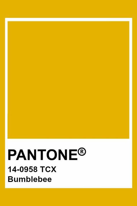 Pantone Tcx Yellow, Yellow Pantone Colour Palettes, Pantone Yellow Shades, Pantone Colors Yellow, Mustard Yellow Pantone, Pantone Tcx, Yellow Pantone, Pantone Color Chart, Pantone Swatches