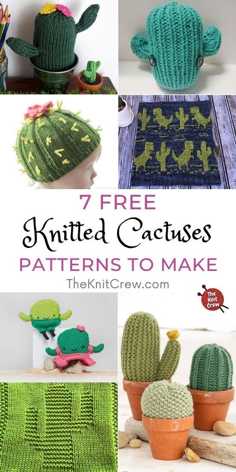 Cotton Yarn Projects, Cactus Hat, Rose Got, Knit Dishcloth, Malabrigo Yarn, Cascade Yarn, Yarn Projects, Free Knitting Pattern, Pattern Free