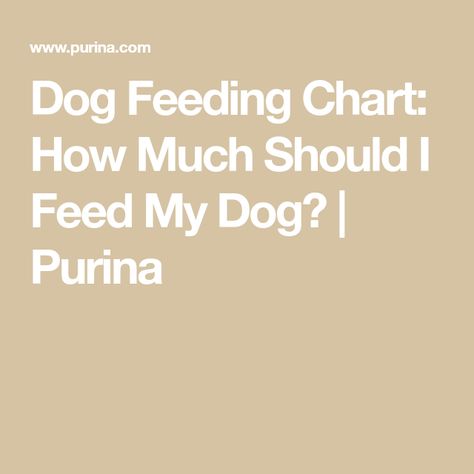 How Much To Feed A Puppy, Dog Feeding Chart, Dog Weight, Body Condition, Puppy Food, Ideal Weight, Ideal Body, Life Stages, Proper Nutrition