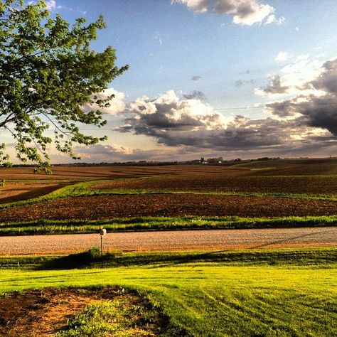 Iowa..... Many trips to Iowa when younger with my Grandparents to visit family. Iowa Farmland, Midwest Landscape, Iowa Farms, Field Of Dreams, North South, South West, Des Moines, Beautiful Place, Farm Life