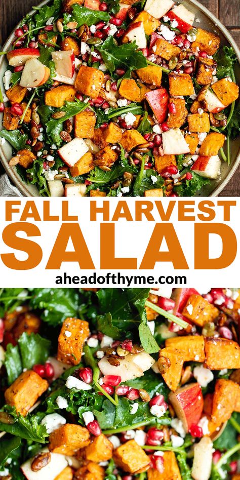 Salad With Roasted Butternut Squash, Harvest Salad Recipes, Salad With Butternut Squash, Fall Harvest Salad, Autumn Salad Recipes, Harvest Salad, Squash Salad, Autumn Salad, Fall Dinner