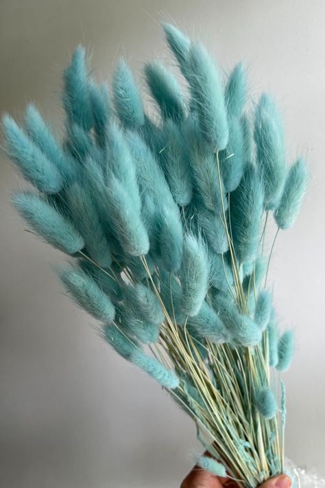 Tiffany-blue dried bunny tails. (Code: ZDRBUNNBL) Turquoise Cottage, Winter Pool, Verde Aqua, Turquoise Aesthetic, Verde Tiffany, Lights Ideas, Azul Tiffany, Bunny Tails, Photo Collage Template