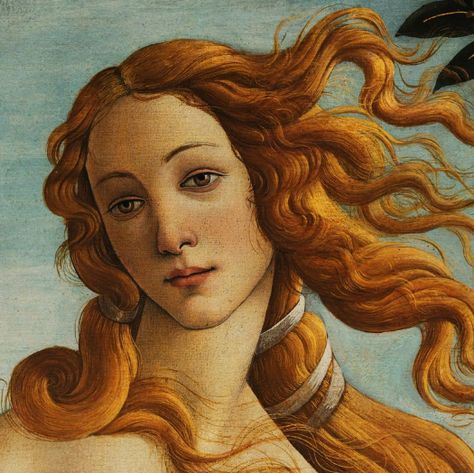 Botticelli Paintings, Sandro Botticelli, European Art, Funny Pics, High Quality Art Prints, Art History, Find Art, Art Museum, Framed Artwork