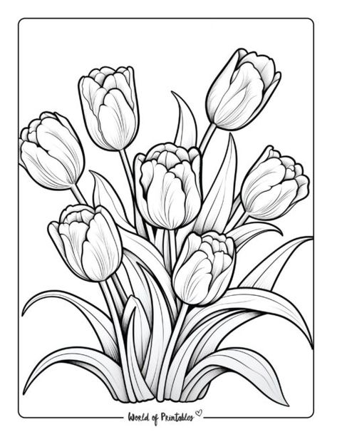 Floral Colouring Pages, Cute Flower Sketches, Printable Watercolor Coloring Pages, Flower Coloring Sheets Free Printable, Floral Coloring Pages Free Printable, Tulip Coloring Pages, Spring Coloring Sheets Free Printables, Colouring Pages Flowers, Free Coloring Pages Printables Adults