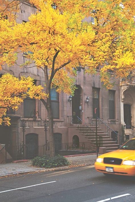 New York taxi in the fall Photo Ciel, Yellow Taxi, Autumn In New York, Tall Buildings, I Love Nyc, Taxi Cab, Nova York, Concrete Jungle, Kochi