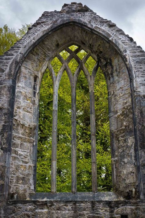 Muckross Abbey, Killarney Ireland Muckross Abbey Ireland, Muckross Abbey, Abandoned Ruins, Killarney Ireland, Travel Ireland, Killarney, Dream Trip, Ireland Travel, British Isles