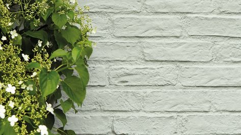 Masonry Paint - Luxury Exterior Paint | Little Greene Masonry Paint Colours, French Grey Paint, Exterior Paint Colours, Exterior Masonry Paint, Painted Brick Walls, Fleetwood Paint, Wall Colours, Garden Walls, Luxury Exterior