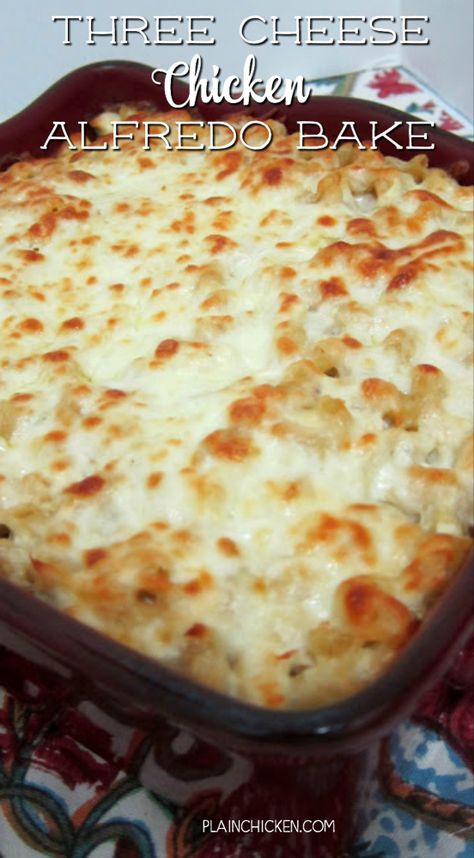 Alfredo Pasta Casserole Recipes, Macaroni Alfredo, Chicken Alfredo Pasta Casserole, Alfredo Pasta Casserole, Chicken Alfredo Bake Recipe, Cheese Pasta Bake, Alfredo Bake, Pasta Casserole Recipes, Chicken Alfredo Bake