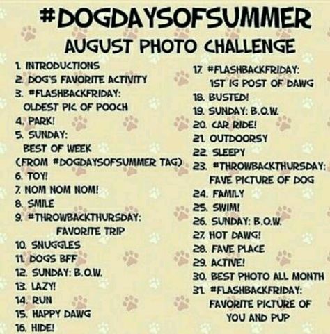 August photo challenge dogs edition! Monthly Dog Photos, Dog Challenge Ideas, Dog Photo Challenge, August Photo Challenge, Instagram Secrets, Dog Boutique Ideas, Photography Activities, Photography Challenges, Dog Walking Business