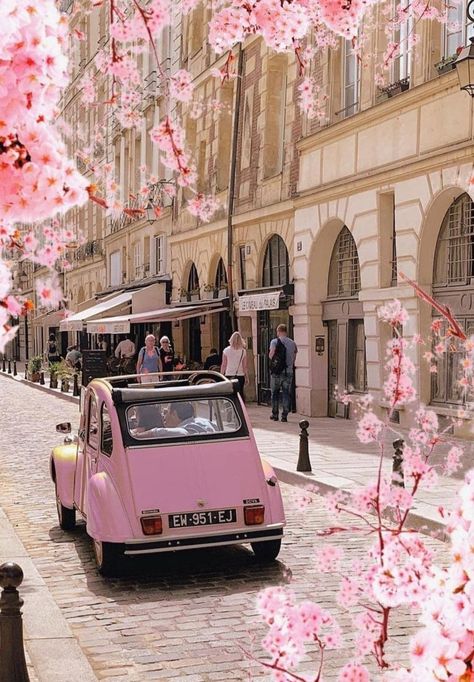 Place Dauphine, Paris In Spring, Spring In Paris, Springtime In Paris, Paris Vibes, Paris Vacation, Parisian Vibes, Amazing Places On Earth, France Photos