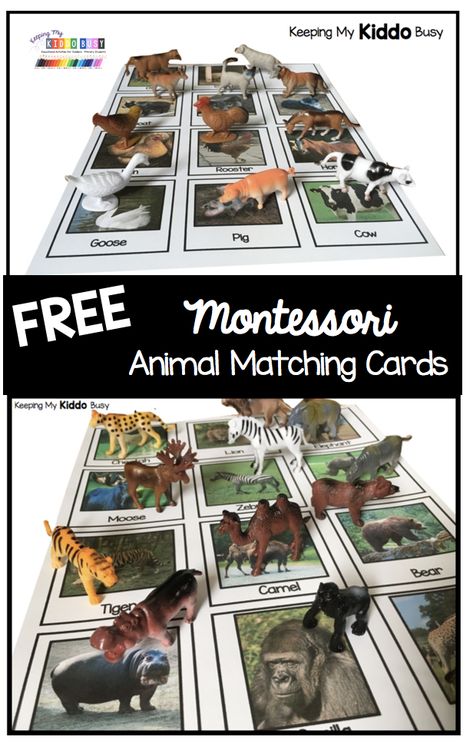 Zoo Animal Activities For Preschool Free Printable, Animal Habitat Preschool Activities, Farm Animal Matching Game Free Printable, Wild Animals Activities For Toddlers, Wild Animal Activities For Preschool, Wild Animals Activities For Kids, Diy Busy Bags, Wild Animals Preschool Activities, Indoor Kids Games