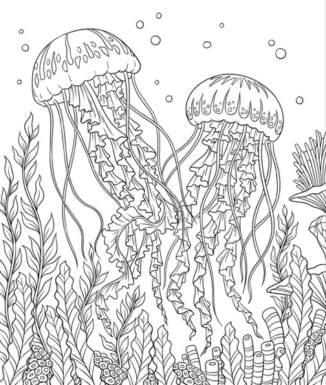 Coloring page Watercolor Pages, Ocean Colouring Pages, Ocean Coloring Pages For Adults, Jellyfish Coloring Page, Under The Sea Drawings, Jellyfish Coloring, Planet Coloring Pages, Abstract Tattoo Ideas, Printable Coloring Pages For Adults