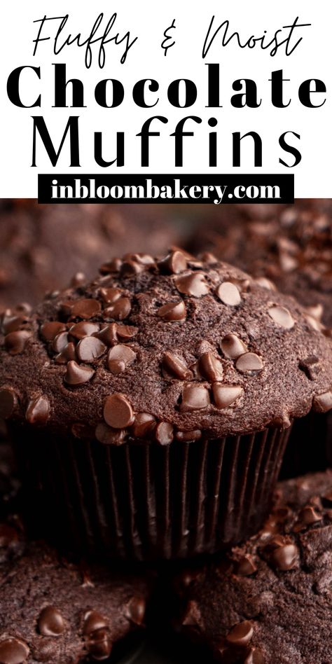 This is the best chocolate muffin recipe! These double chocolate muffins are super moist, packed full of chocolate chips, and are extra easy to make. Best Double Chocolate Muffins, Double Choc Chip Muffins, Sams Chocolate Muffins, Moist Double Chocolate Chip Muffins, Jumbo Double Chocolate Muffins, Double Chocolate Muffins Easy, Choc Muffins Recipe, Super Moist Chocolate Muffins, Super Moist Muffin Recipes