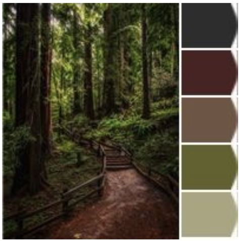 Forest Color Palette Sherwin Williams, Forest Paint Palette, Forest Paint Colors, Pnw Decor, Clinic Room, Forest Colors, Forest Bedroom, Forest Room, Northwest Style