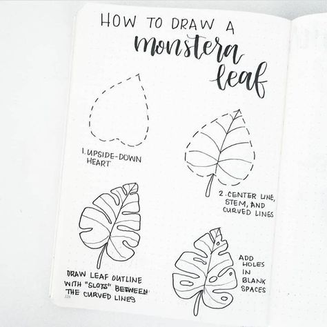 “Here’s a little step by step on how to draw a Monstera Leaf Hur Man Ritar Blommor, Hole Drawing, Arte Doodle, 2023 Planner, Flower Drawing Tutorials, Výtvarné Reference, Leaf Drawing, Bullet Journal Inspo, Curved Lines