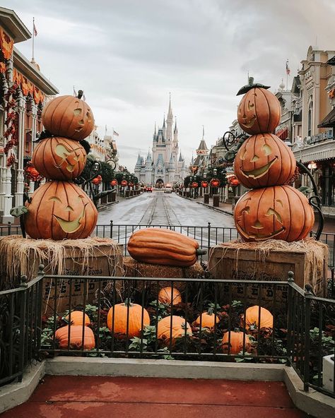 all the halloween/autumn feels 🎃👻🍁😭 Disneyland Halloween, Halloween Autumn, Halloween Aesthetic, Disney Aesthetic, Pinturas Disney, Fall Feels, Halloween Backgrounds, Fall Pictures, Halloween Home Decor