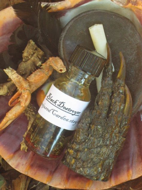 Black Destroyer Oil- Hoodoo, Voodoo, Witchcraft-Destroys Tricks, Curses, and Hexes | Conjured Cardea Curses And Hexes, Voodoo Shop, Hoodoo Magic, Black Magic For Love, Voodoo Rituals, Throbbing Headache, Conjure Oil, Traditional Healer, Ritual Magic