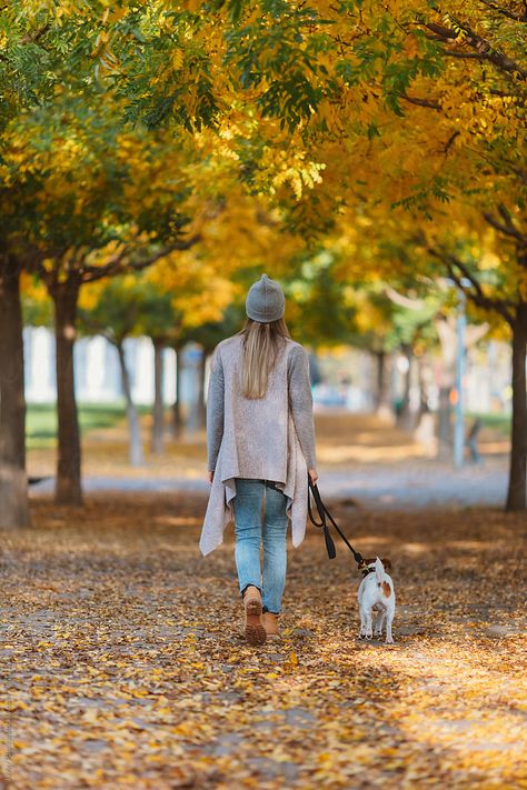 woman walking with her dog on park at autumn by Javier Pardina for Stocksy United Dog Photography Poses, Walking Women, Photos With Dog, Dog Poses, Dog Photoshoot, Me And My Dog, Dog Branding, Fall Photoshoot, Fall Day