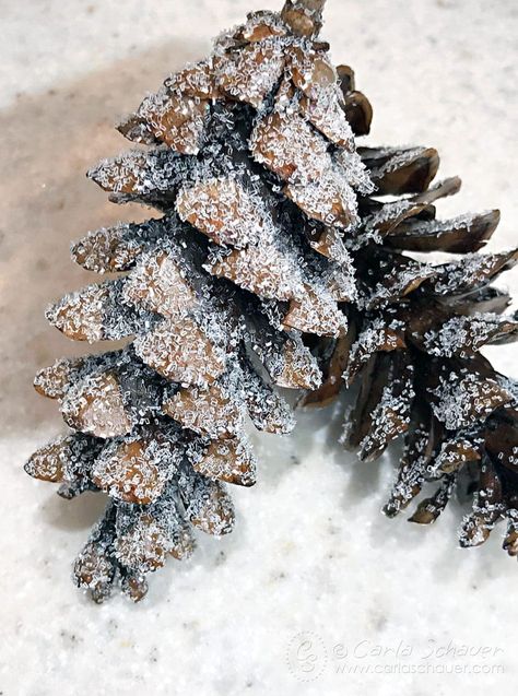 Glitter Pine Cones Diy, Pine Cone Crafts For Christmas Ornaments, Glitter Pinecones Diy, Borax Pinecones, Large Pinecone Crafts, Pinecone Decorations Diy, Pinecones For Christmas, Glitter Pinecones, Sugar Pine Cones