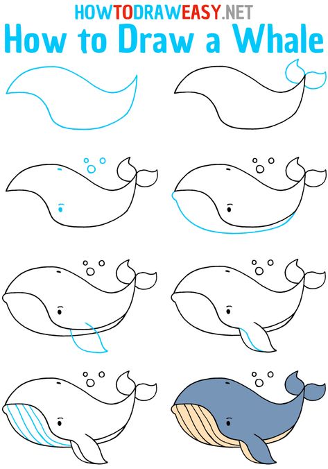 How to Draw a Whale Step by Step #WhaleDrawing #EasyDrawings #HowtoDrawEasy #EasyDrawingTutorials #WhaleDrawingEasy #DrawingGuides #EasyDrawingGuides #SimpleDrawings How To Draw Whales Step By Step, How To Draw Whale, Whale Drawing Step By Step, Sea Animal Doodles, How To Draw Animals Step By Step, Sea Animals Drawing Easy, Ivy Drawing, Draw A Whale, Drawing Whale