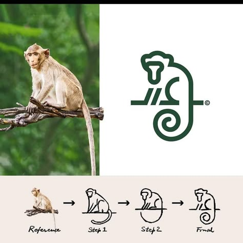 Monkey Logo Design, Logo Sketch Design, Zoo Logo, Ali Akbar, Behance Illustration, Monkey Logo, Minimal Graphic, Inspiration Logo Design, Logo Sketches