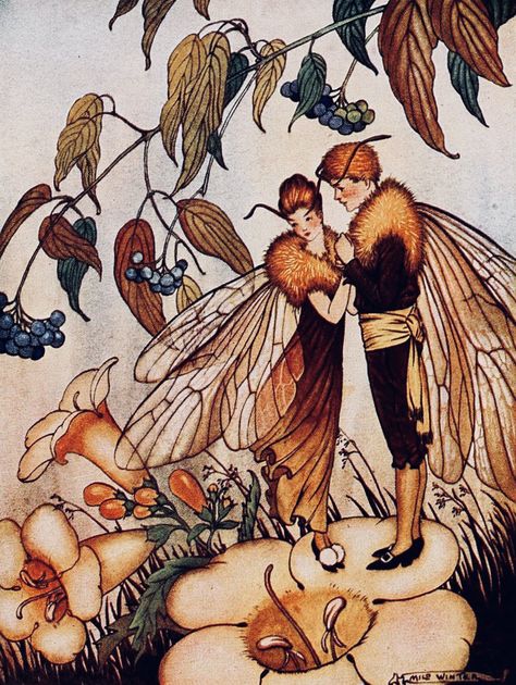 Rachel Deering on Twitter: "The New Bee, Milo Winter, 1920. #BookWormSat #WorldBeeDay https://t.co/ZOrWZaHoyq" / Twitter Bees In Love, Couples Poster, Bee Wall Art, Bee Lover Gifts, Fairy Illustration, Vintage Fairies, Refrigerator Magnet, Fairy Art, Fairy Land