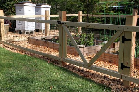 attractive garden fencing | Tilly's Nest: A Simple Garden Fence Pagar Modern, Small Garden Fence, Short Fence, Chicken Wire Fence, Fenced Vegetable Garden, Taman Diy, Diy Garden Fence, Cheap Fence, Video Garden