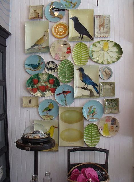 good reminder that displays of inexpensive/easy diy items can make lovely focal areas Plate Wall Display, Plate Collage, Bird Plates, Plate Display, Design Sponge, Beautiful Wall, Wall Display, Wall Collage, Design Interior