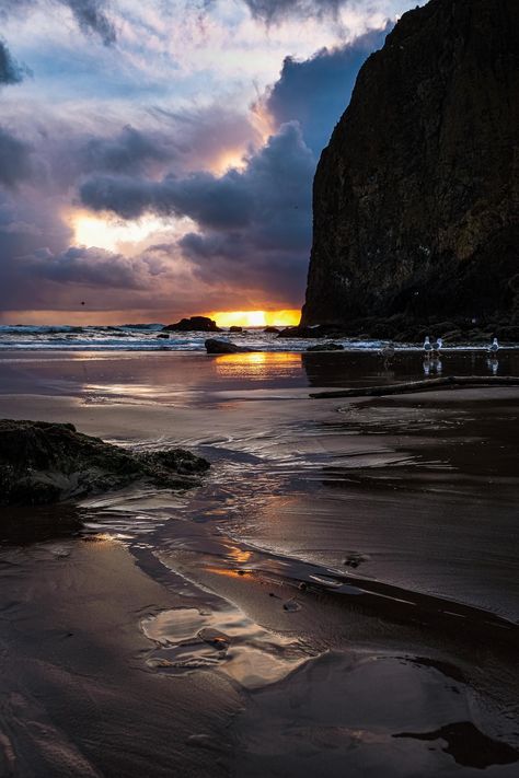 Oregon Aesthetic, Ocean Art Painting, Seaside Oregon, Vista House, Oregon Life, Oregon Beaches, Cannon Beach Oregon, Galaxies Wallpaper, Pacific City