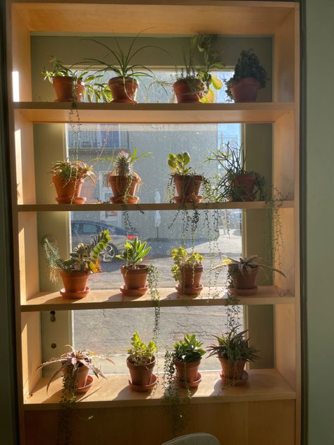 Mallory Core, Window Shelf For Plants, Window Plant Shelf, Plant Home Decor, Plant Window, Window Plants, Window Shelves, Plant Home, Bathroom Windows