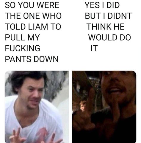 Funny 1d Quotes, 1d Quotes Funny, One Direction Tweets Funny, Larry Stylinson Tweets, 1d Funny Pictures, 1d Memes Funny, Holivia Larry Memes, Larry Stylinson Memes Funny, One Direction Memes Funny