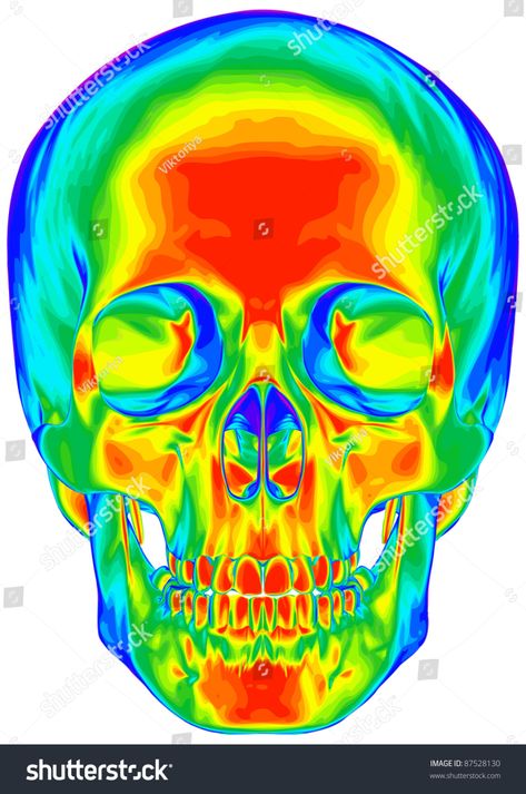 Thermal Image Human Skull Isolated On Stock Illustration 87528130 Thermal Image, Psychadelic Art, Human Skull, Art Collage Wall, Trippy Art, Skull Art, Art Drawings Sketches, Art Reference Photos, Art Sketchbook