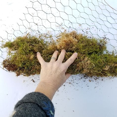 How to Use Moss as a Foam-Free Floral Mechanic Natal, Flower Mechanics, Floral Mechanics, Dry Floral Foam, Wedding Arbors, Sustainable Flowers, Flower Installation, Flower Arrangements Simple, Wire Flowers