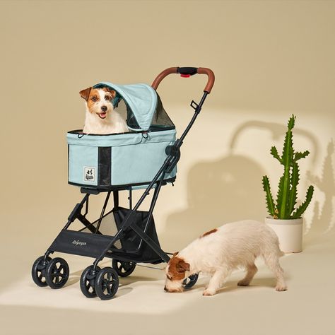 #cutepetdogs #cutepuppydogs #cutedogs#cutepuppy #cutepet #puppydogs #petcute #dogscute #petstroller #puppycute #puppystroller #stroller #cutepetclub #cutepets #worldofcutepets #cutedogsofinstagram #cutestpuppy #cutestdogs #cutestpuppyever #cutepuppyclub #cutepetsofinstagram #cutedogsofig #cutestpets #cutepetsclub #cutestpet #cutepetpatrol #cutepuppys #puppycuteness #cutedogsdaily #cutepuppypics #DogsofInstagram Car Booster Seat, Bassinet Stroller, Cat Stroller, Small Deer, Pet Strollers, Dog Stroller, Pet Stroller, Booster Car Seat, Muddy Paws