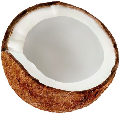 Coconut Images, Png Free Download, Shapes Images, Photoshop Backgrounds, Free Clipart, Fruit Art, Fruit And Veg, Hand Cream, Png Clipart