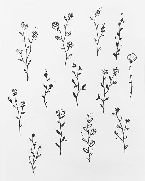 25 Beautiful Flower Drawing Ideas & Inspiration - Brighter Craft Hur Man Ritar Blommor, Pola Tato, Aesthetic Plants, 심플한 그림, Flower Tattoo Drawings, Flower Step By Step, Arte Doodle, Beautiful Flower Drawings, Polynesian Tattoos