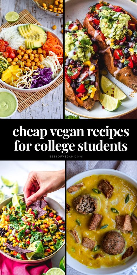 Looking for budget-friendly and scrumptious vegan recipes tailored for college students? We've got you covered! 🍲 Dive into our collection of 13+ Easy and Cheap Vegan Recipes, and make your taste buds dance! 💃 Get the recipes now and elevate your vegan game! ✨ Vegan Recipes For College Students, Budget Vegan Recipes, Vegan Student Recipes, Vegan Budget Recipes, Vegan Student Meals, Vegan Budget Meals, Vegan College Meals, Cheap Vegan Dinners, Cheap Vegetarian Recipes